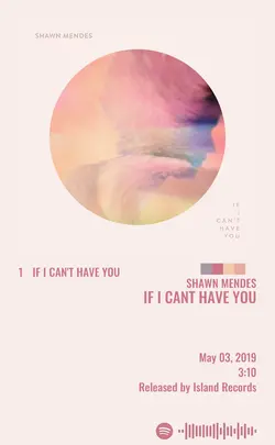 Shawn Mendes - If I Cant Have You.jpg